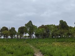 -阳澄湖半岛旅游度假区