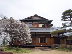 -三鹰之森吉卜力美术馆