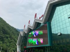 -牛背梁国家森林公园