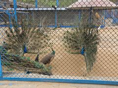 -森林公园(尖草坪区)