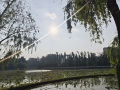 -翠湖公园