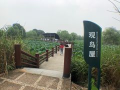 -长兴太湖图影湿地文化园