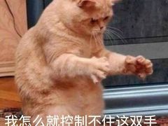 -3A07逆爱杯子蛋糕