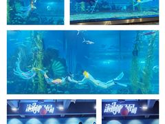 -顺德南宏海立方海洋公园
