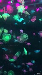 -发界studio日系沙龙