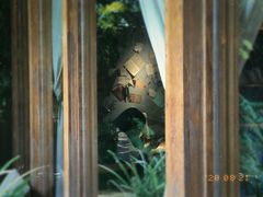 -时光花园(白鹭洲店)