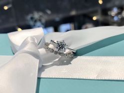-VE DIAMOND·天然&培育钻石定制