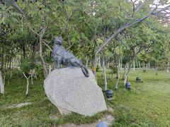 -伊犁河风景区