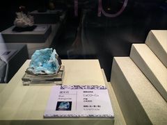 -天津自然博物馆