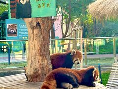 -水上乐园·欢乐世界