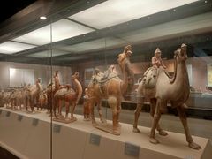 -西安大唐西市博物馆