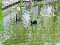 -郑州市动物园