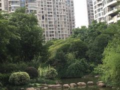 -新湖明珠城