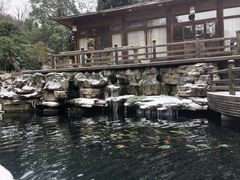 -贵州省植物园