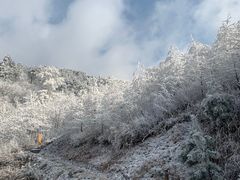 -溪口商量岗景区