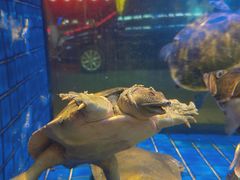 门面-苏福记·海鲜佬(凤城四路店)