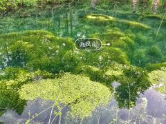 -重庆九凤瑶池海明山庄