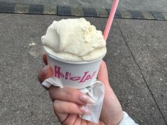 -红楼HONGLOU Gelato(淮海中路店)
