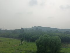 -北京歌华开元大酒店