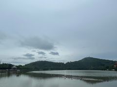 -顺峰山公园