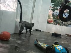 -西安秦岭野生动物园