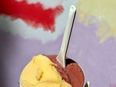 -Dip in Gelato(富民路店)