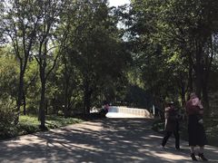 -大兴滨河森林公园