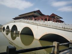 -大湾区中央湿地公园