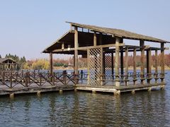 -溱湖国家湿地公园