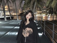 -欢乐海岸椰林沙滩-2025湾区超级灯会