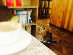 -隅cafe(傅厚岗店)