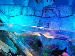 -沈阳海洋探索中心