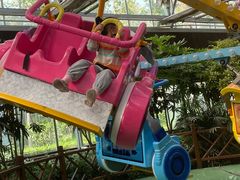 -南宫五洲植物乐园