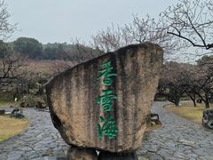 -香雪海