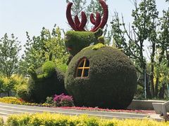 -庞各庄西瓜蔬菜采摘园·锦华瓜园