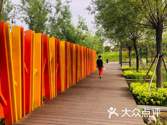 双鹤湖中央公园-图片-新郑市周边游-大众点评网