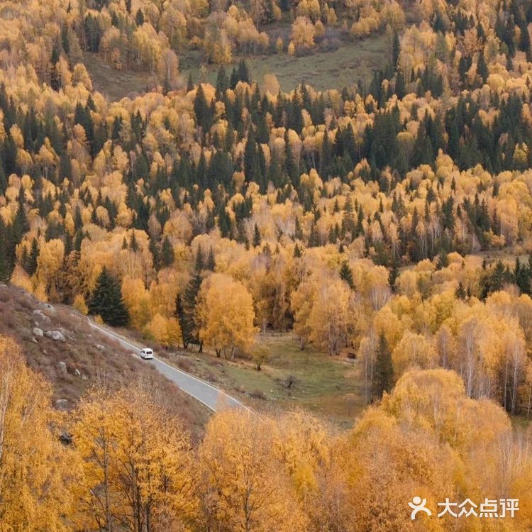 北疆喀纳斯绝美赏秋地！人间仙境禾木村