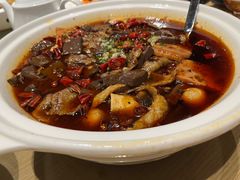 渝信毛血旺-渝信川菜 · 川味家常菜(财富购物中心店)