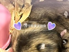 -海港城