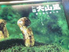-野·大山里野生菌石锅土鸡(益田假日店)