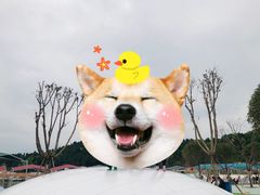 -仙海旅游度假区