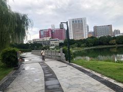 -南宁南湖公园