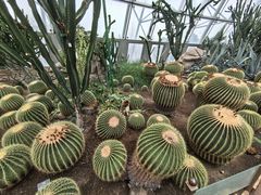 -北京植物园-展览温室