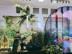 -杭州植物园