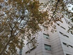 -上海交通大学医学院附属瑞金医院(总院)