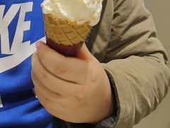 -哈根达斯(陆家浜路店)