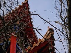 -哈尔滨极乐寺