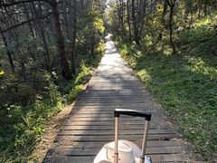 -帽儿山国家森林公园