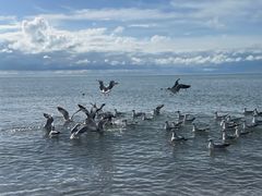 -青海湖二郎剑景区