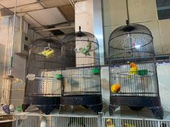 -宝鸡东道花鸟鱼虫市场(吉利花园商场店)